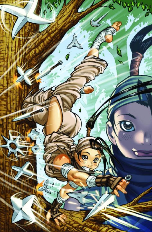 STREET FIGHTER LEGENDS IBUKI #3 (OF 4) B COVER WARREN