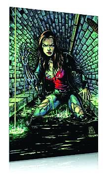 WITCHBLADE #135 ROBERTSON CVR B