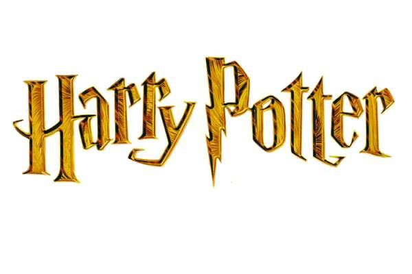 LEGO HARRY POTTER GAME