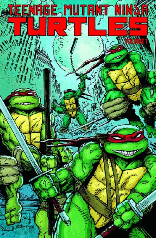 TEENAGE MUTANT NINJA TURTLES ONGOING TP 01 "USED"