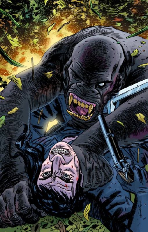 SOLOMON KANE RED SHADOWS #4 (OF 4) GUY DAVIS CVR