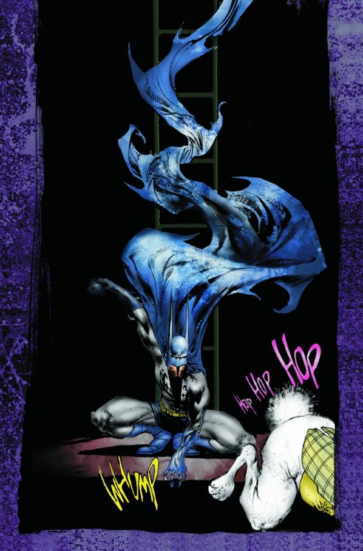 BATMAN THROUGH THE LOOKING GLASS HARDCOVER