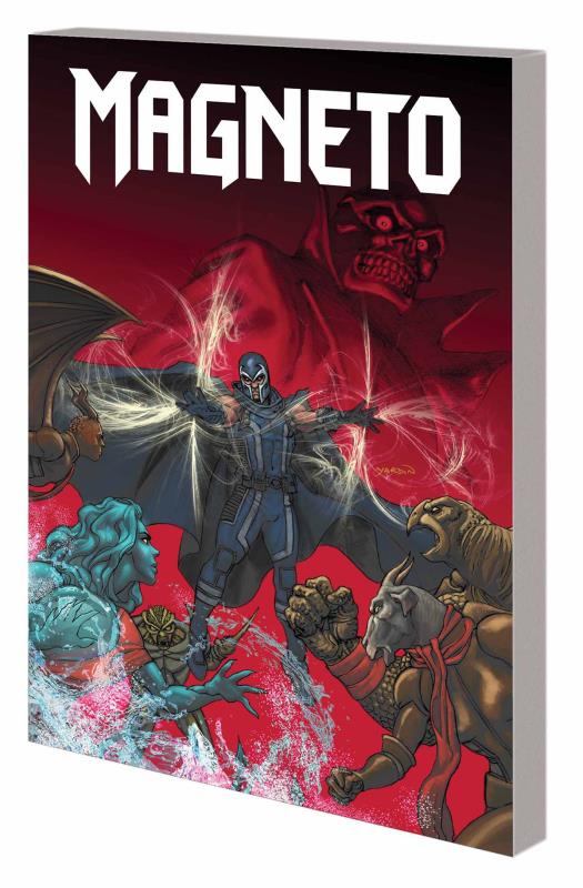 MAGNETO TP 02 REVERSALS
