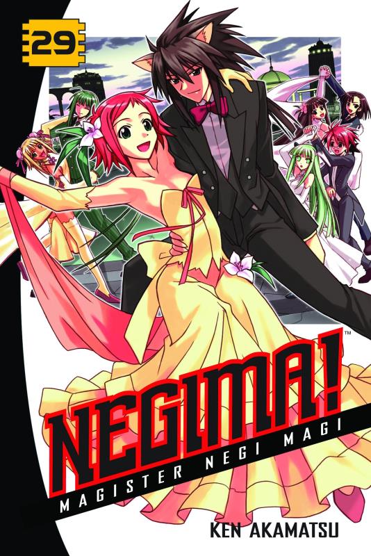 NEGIMA GN 29 (MR)