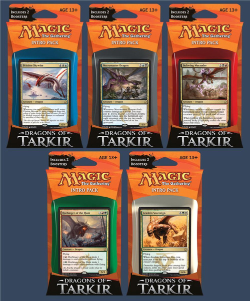 MAGIC THE GATHERING (MTG): Dragons of Tarkir Intro Pack