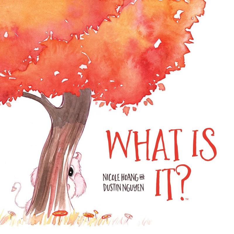 WHAT IS IT HARDCOVER