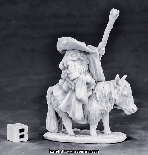 BONES DWARF BATTLE MAGE & PONY