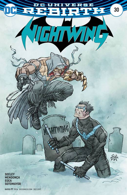 NIGHTWING #30 VARIANT ED