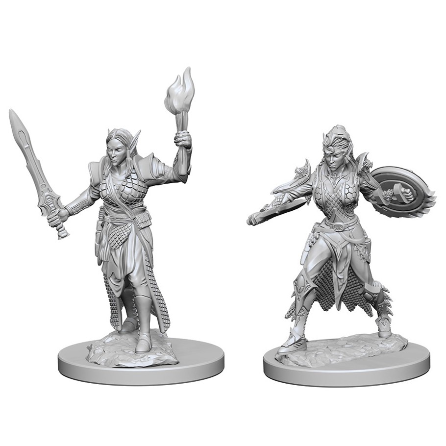 D&D PF DC: ELF FEMALE FIGHTER