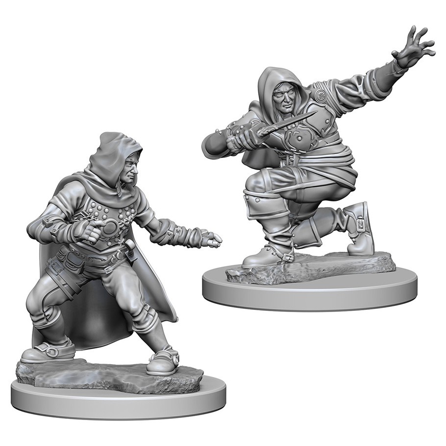 D&D PF DC: Human Male Rogue