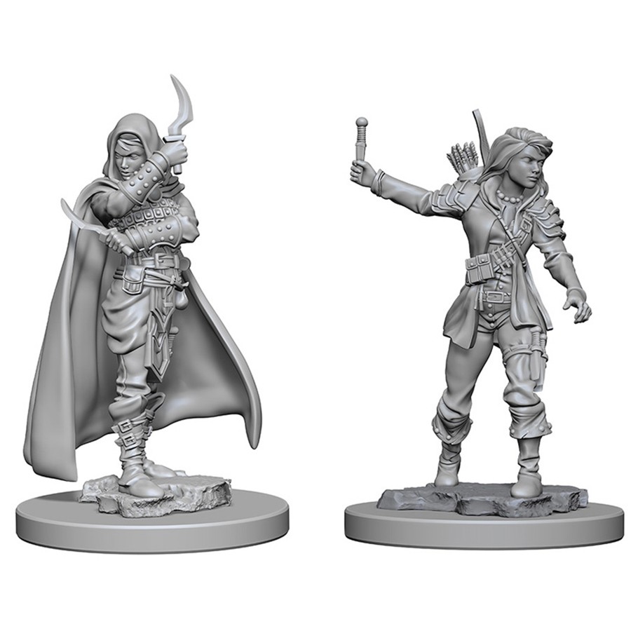 D&D PF DC: HUMAN FEMALE ROGUE