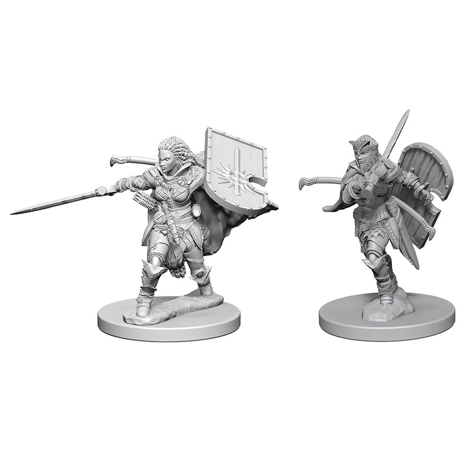 D&D PF DC:ELF MALE FIGHTER