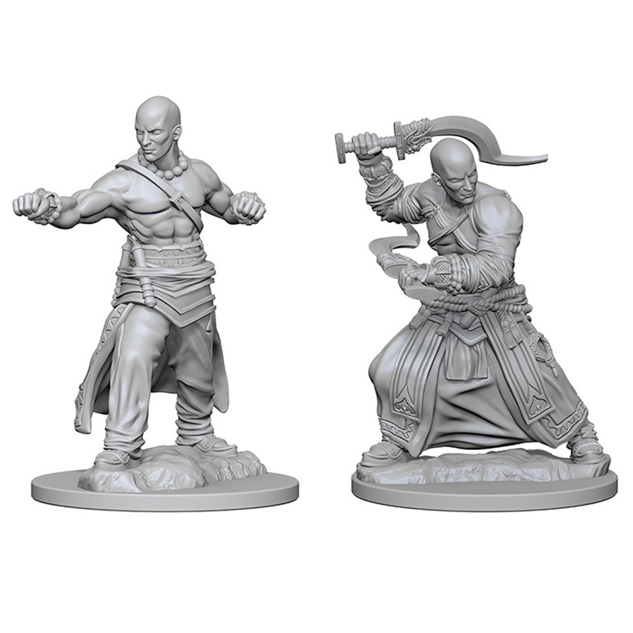 D&D PF DC: HUMAN MALE MONK