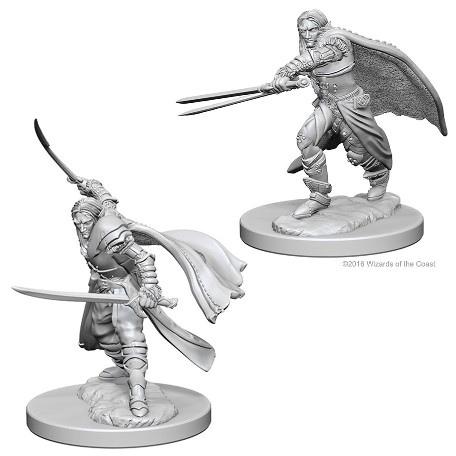 D&D NMU: ELF RANGER