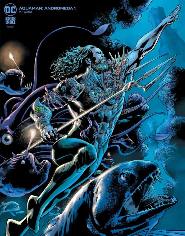 AQUAMAN ANDROMEDA #1 (OF 3) CVR B BRYAN HITCH VARIANT (MR)