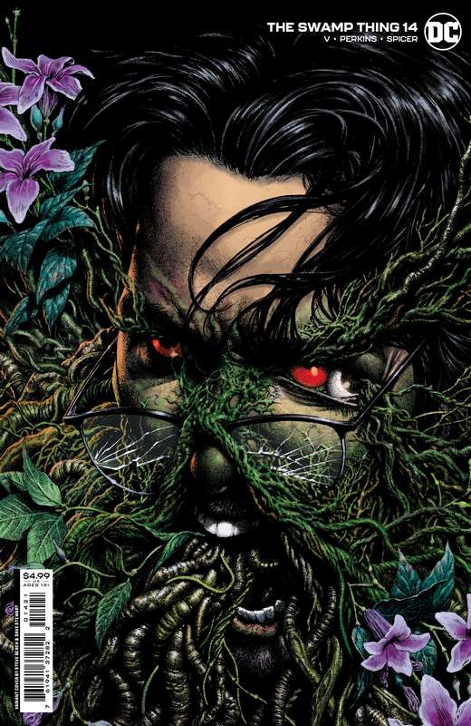 SWAMP THING #14 (OF 16) CVR B STEVE BEACH CARD STOCK VARIANT