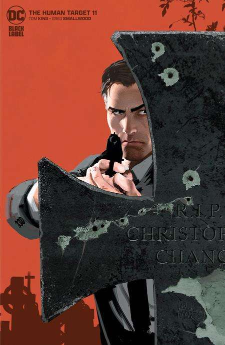 HUMAN TARGET #11 (OF 12) CVR B MIKEL JANIN VARIANT (MR)