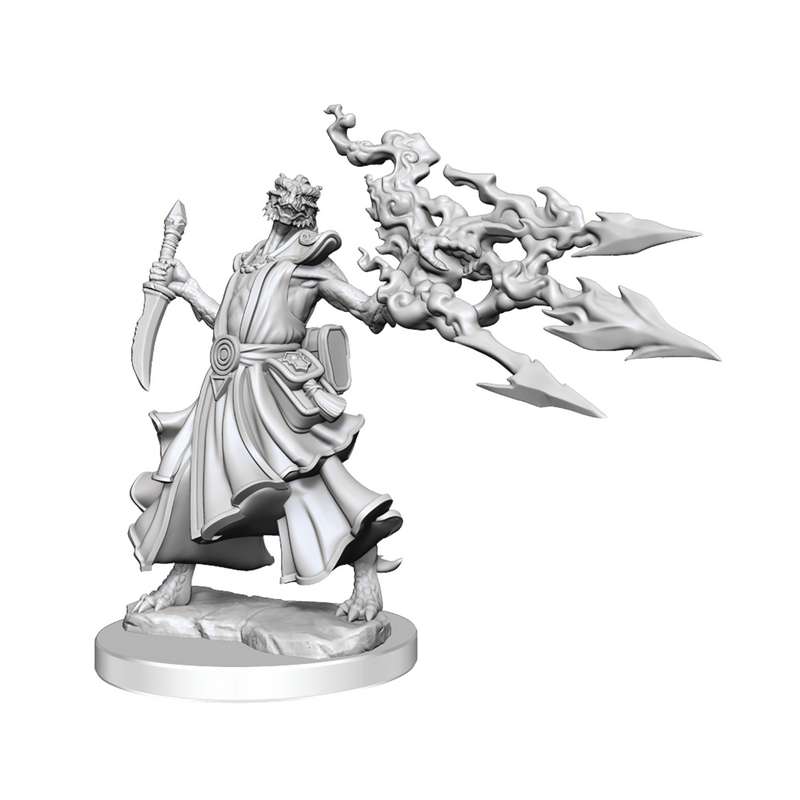 D&D FRAMEWORKS DRAGONBORN SORCERER FEMALE