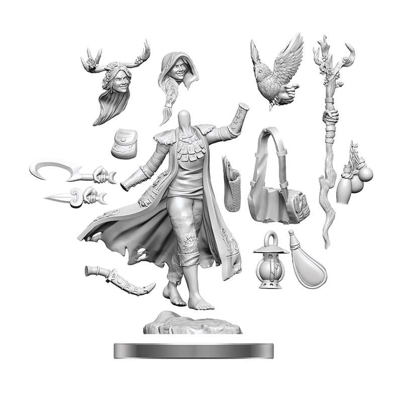 D&D FRAMEWORKS HUMAN DRUID FEMALE