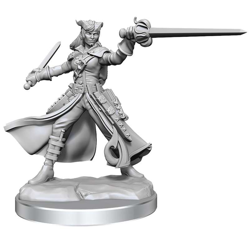 D&D FRAMEWORKS TIEFLING ROGUE FEMALE