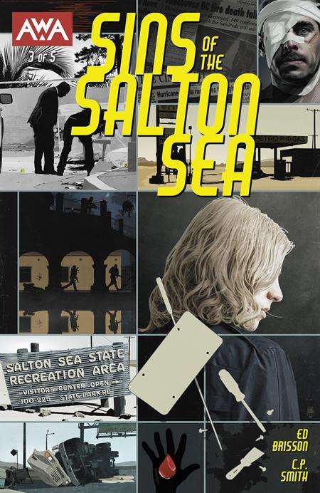SINS OF THE SALTON SEA #3 (OF 5) CVR A TIM BRADSTREET (MR)