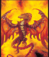4 Pocket Portfolio:Order of the Phoenix