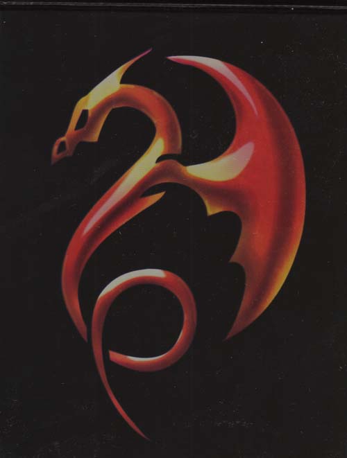 4 Pocket Portfolio: Tribal Dragon