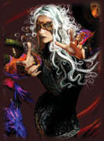 4 Pocket Portfolio: Witch